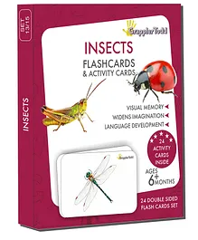 GrapplerTodd Insects Flash Cards Multicolor - 24 Pieces