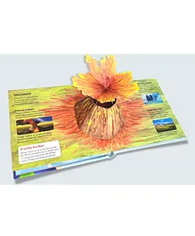 2 to 7 Years, 16 Pages, an interesting and unique, knowledge based  3D|...