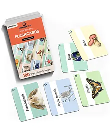 Curious Cub Montessori Flash Cards Brain Boosting...