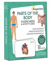 GrapplerTodd Parts of the Body Flashcards (Internal &...