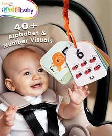 Intellibaby First High-Contrast Visual Brain...