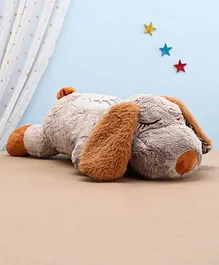 Toytales Dreamlight Dog Musical Plush Toy - Grey &...