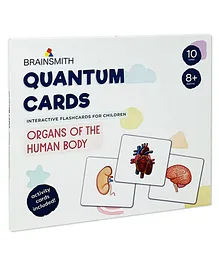 Brainsmith Organs of The Human Body Flash Cards - 10...