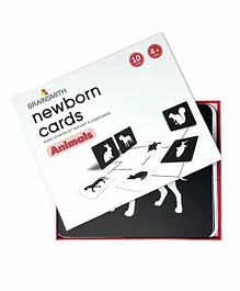 Brainsmith Animals Flash Cards - 10 cards